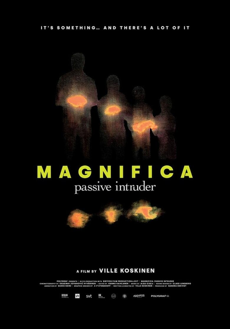 Poster of Magnifica – Passive Intruder