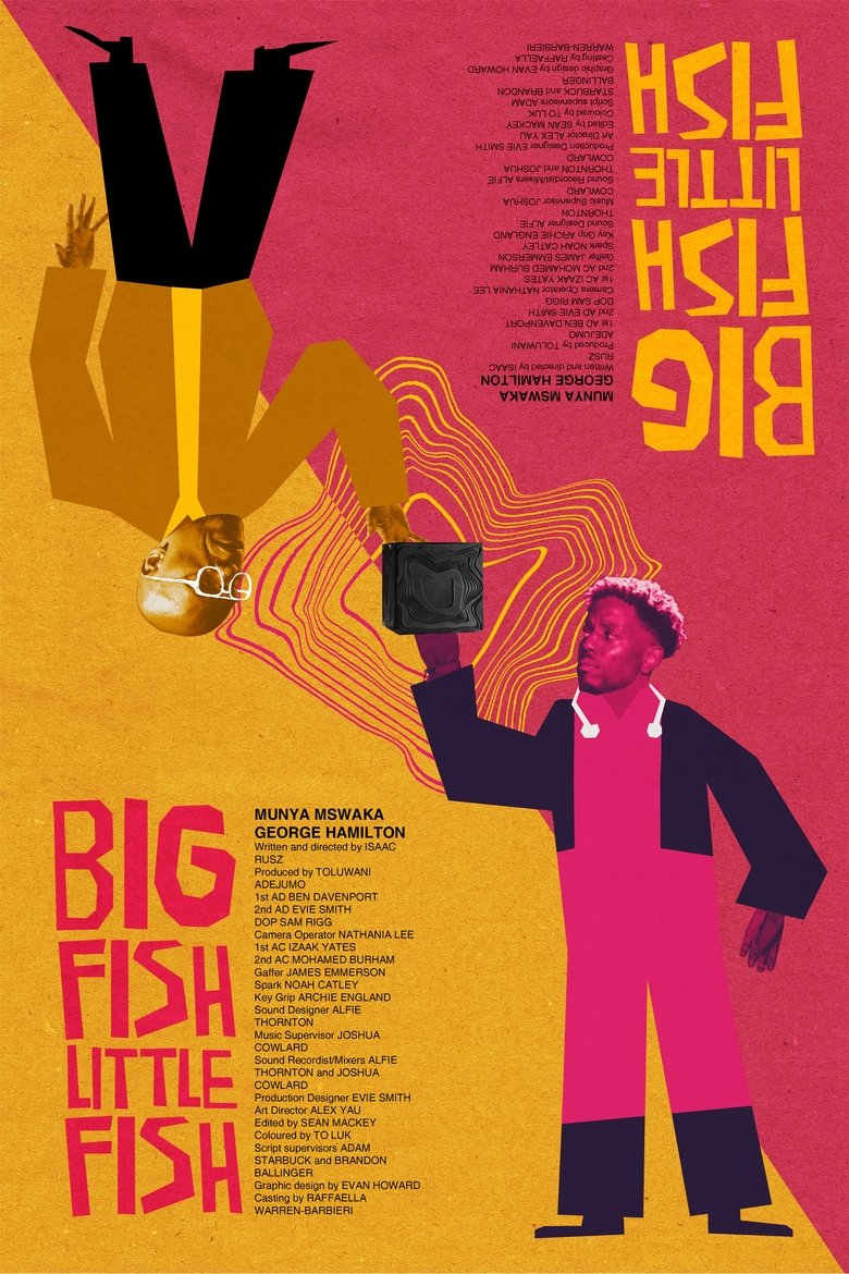 Poster of Big Fish Little Fish