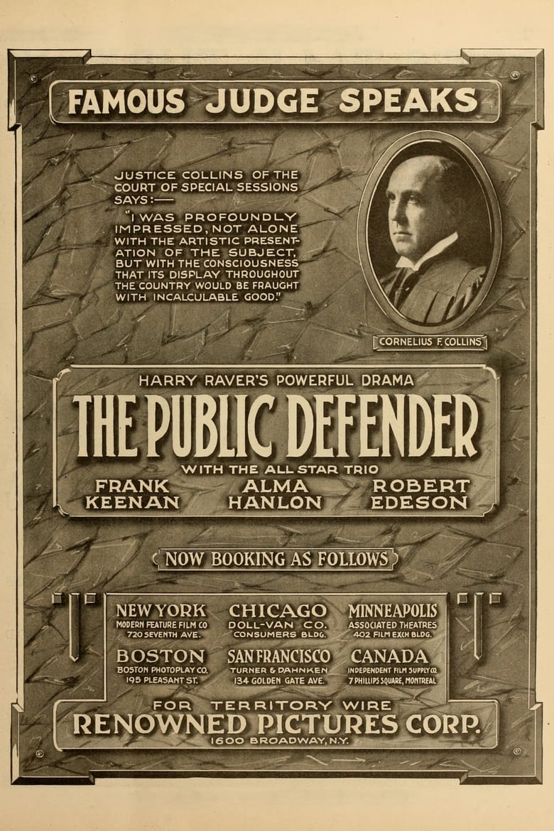 Poster of The Public Defender