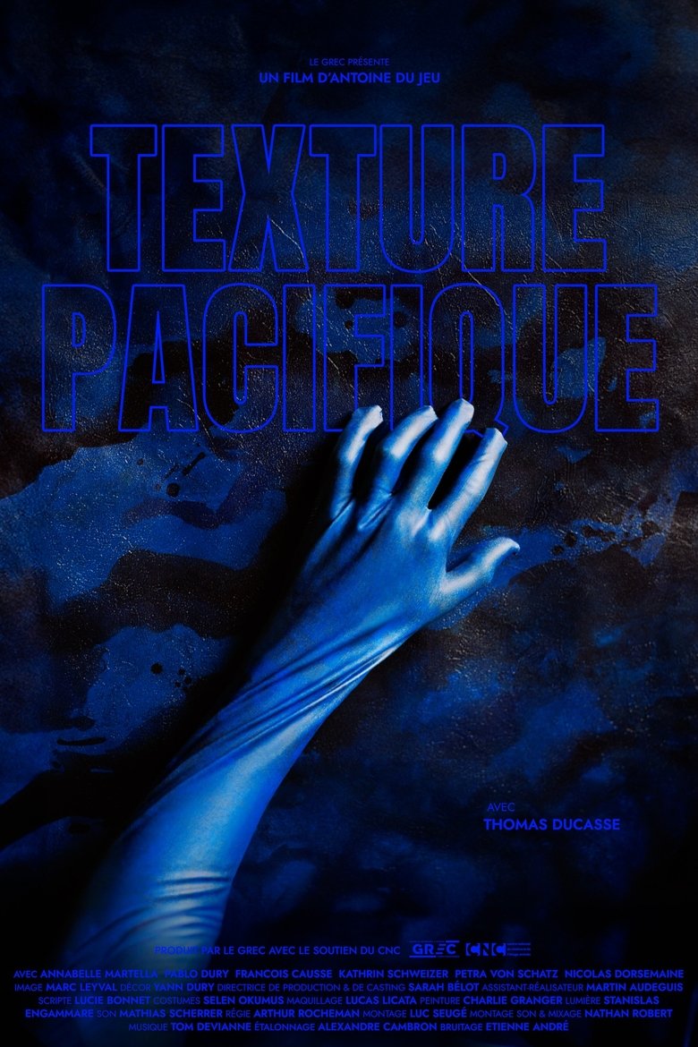 Poster of Texture pacifique