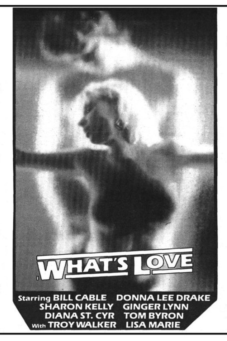 Poster of What's Love