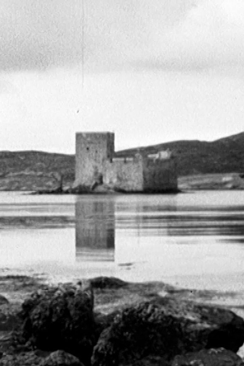 Poster of The Disappearing Island