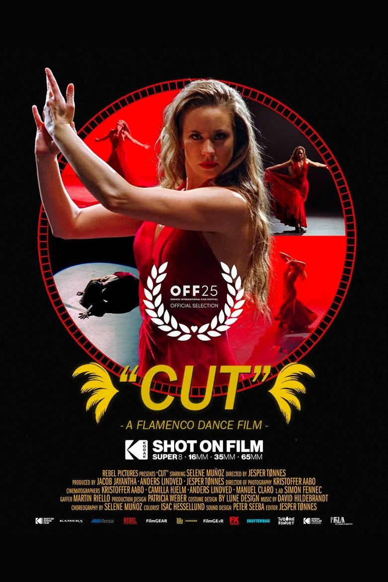 Poster of Cut