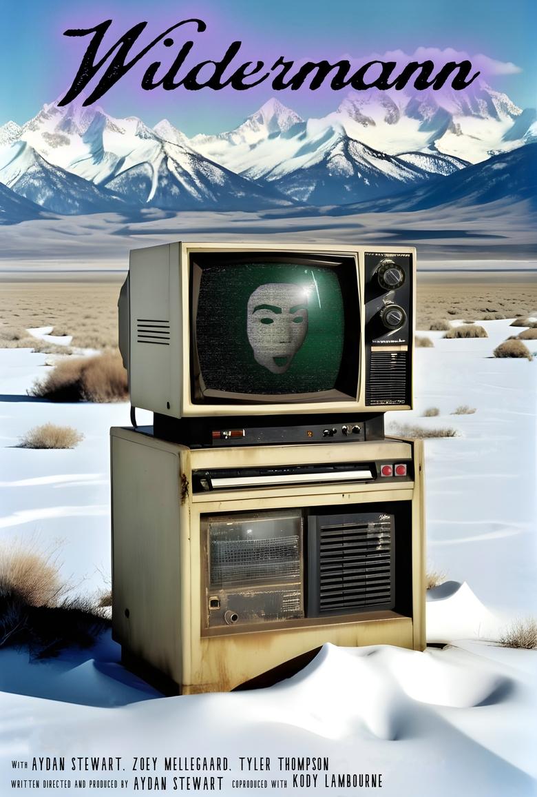 Poster of Wildermann