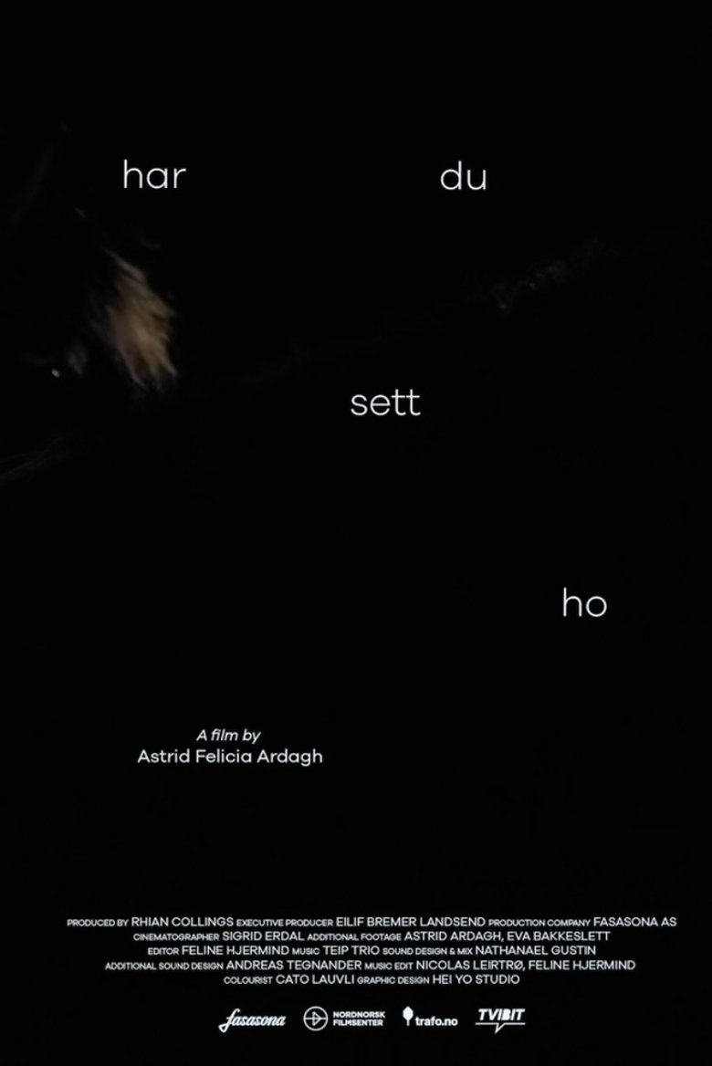 Poster of Have You Seen Her