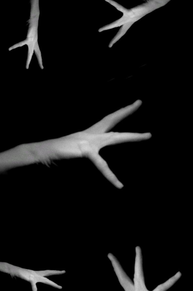 Poster of Phantom Hand