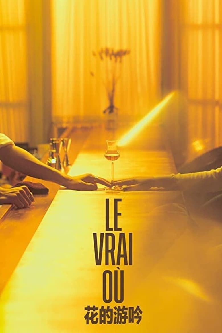 Poster of Le Vrai Où