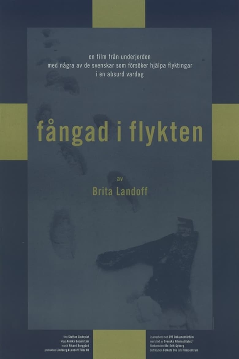 Poster of Fångad i flykten