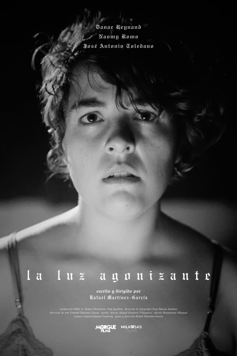 Poster of La luz agonizante