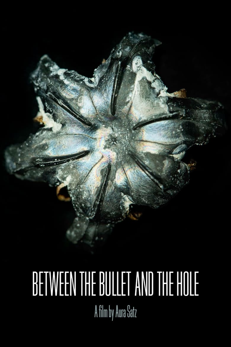 Poster of Between the Bullet and the Hole