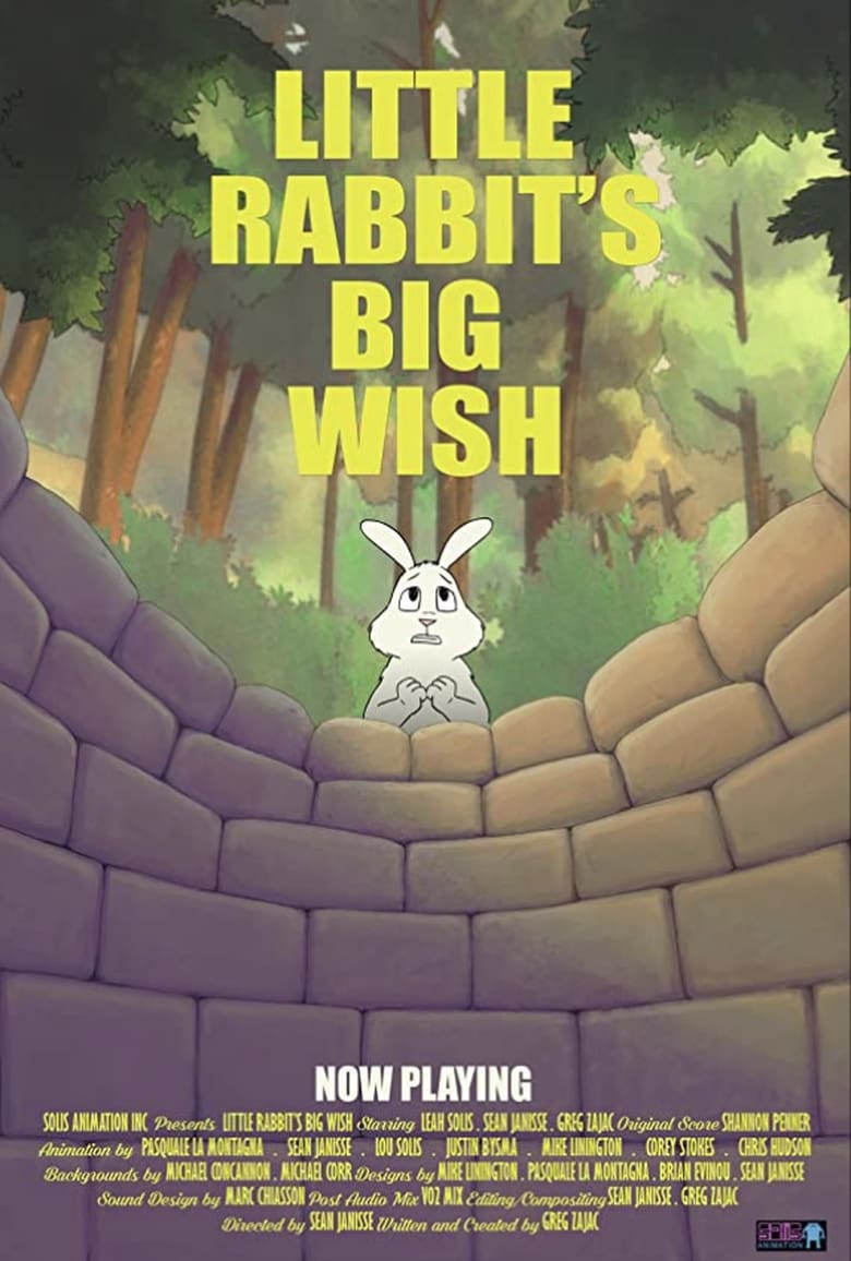 Poster of Little Rabbit's Big Wish