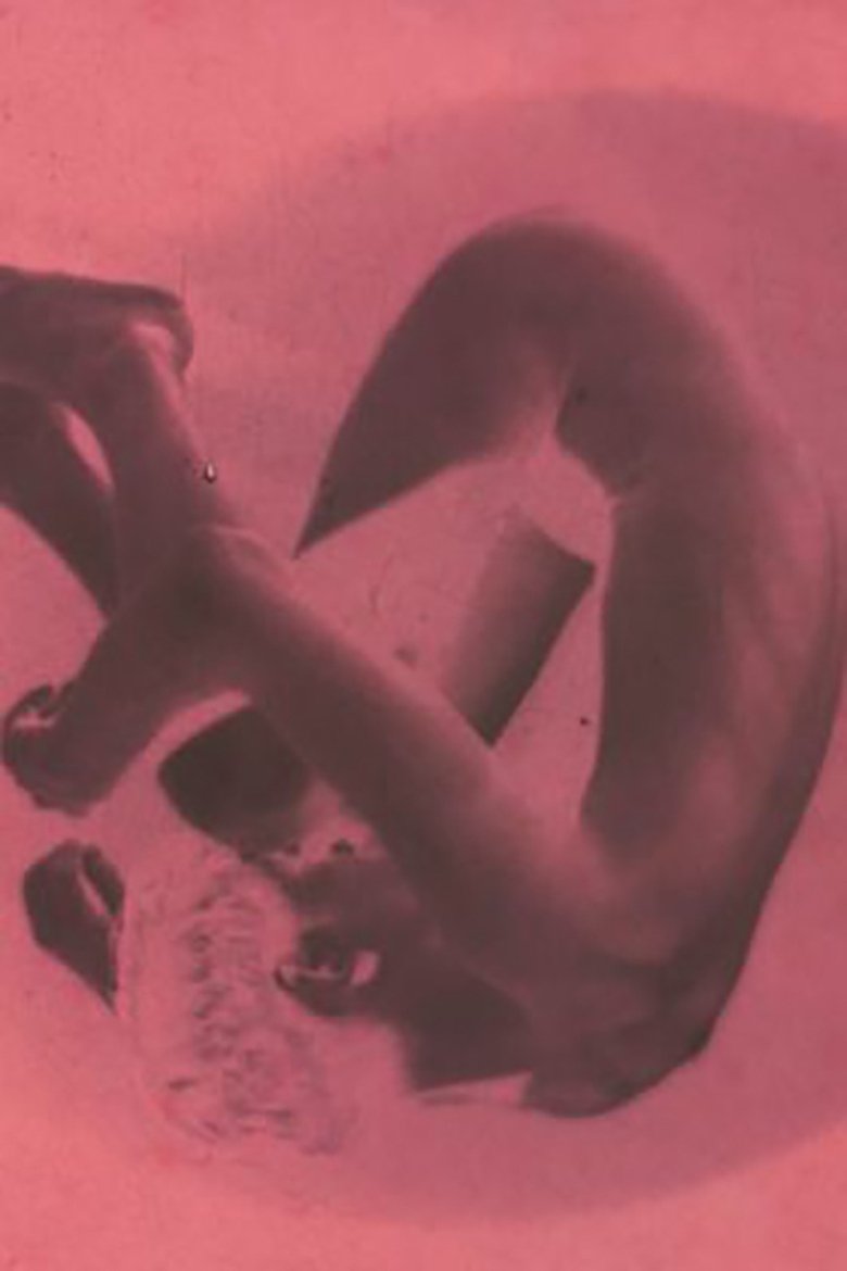 Poster of The Skin of a Napping