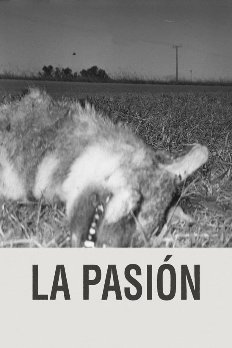 Poster of The Passion