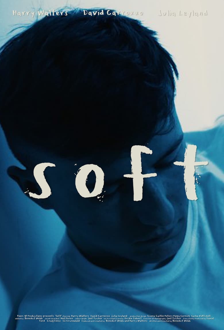 Poster of Soft