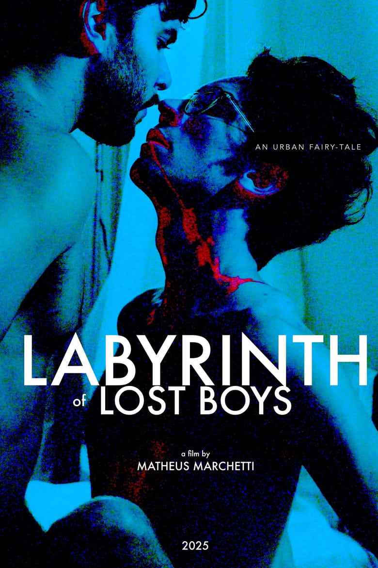 Poster of Labyrinth of Lost Boys