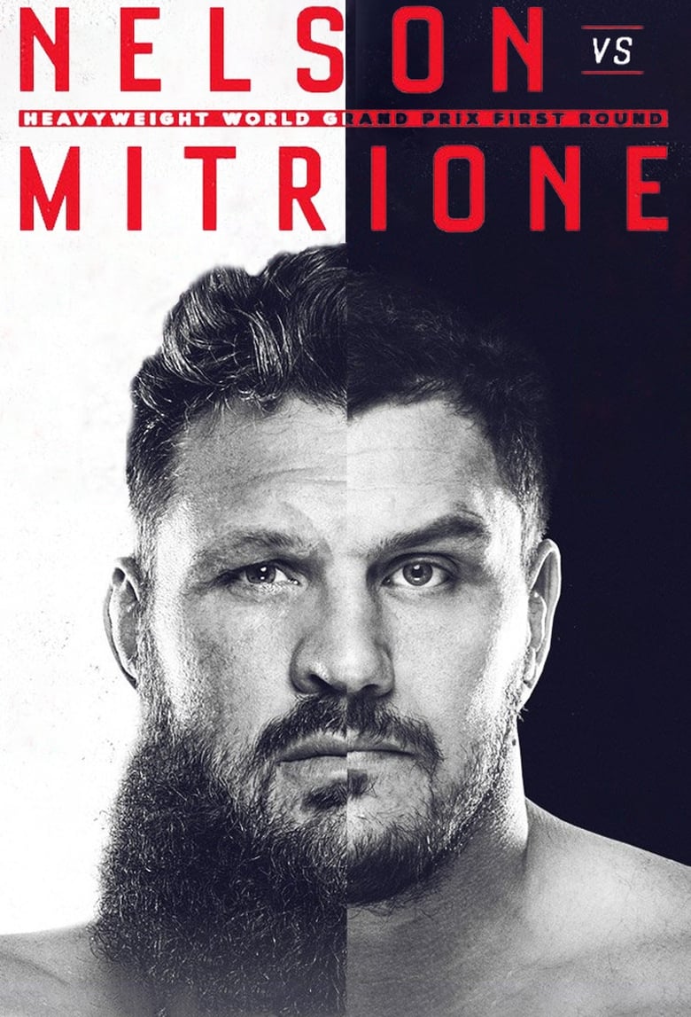 Poster of Bellator 194: Mitrione vs. Nelson 2