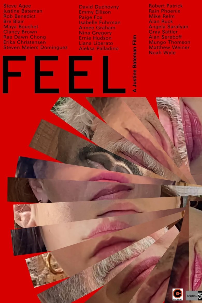 Poster of FEEL