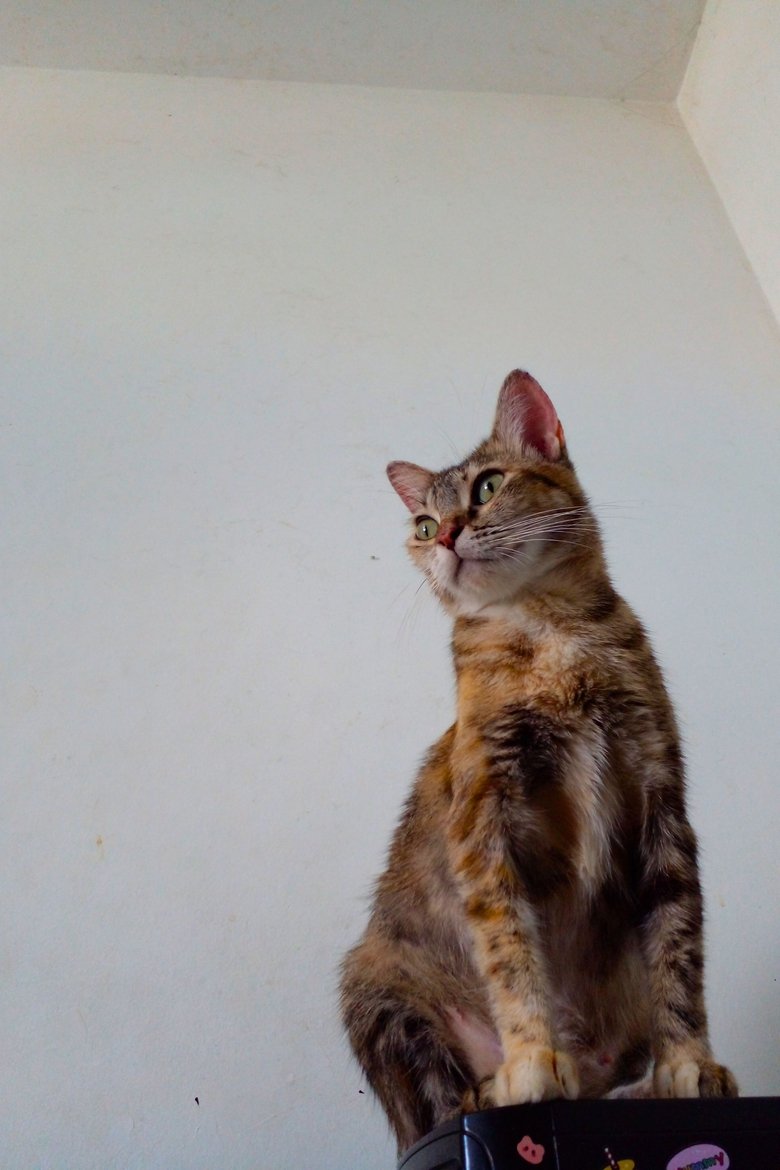 Portrait of Síndrome