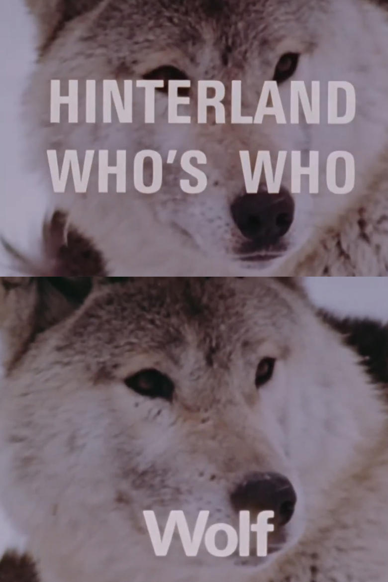 Poster of Hinterland Who's Who: Wolf