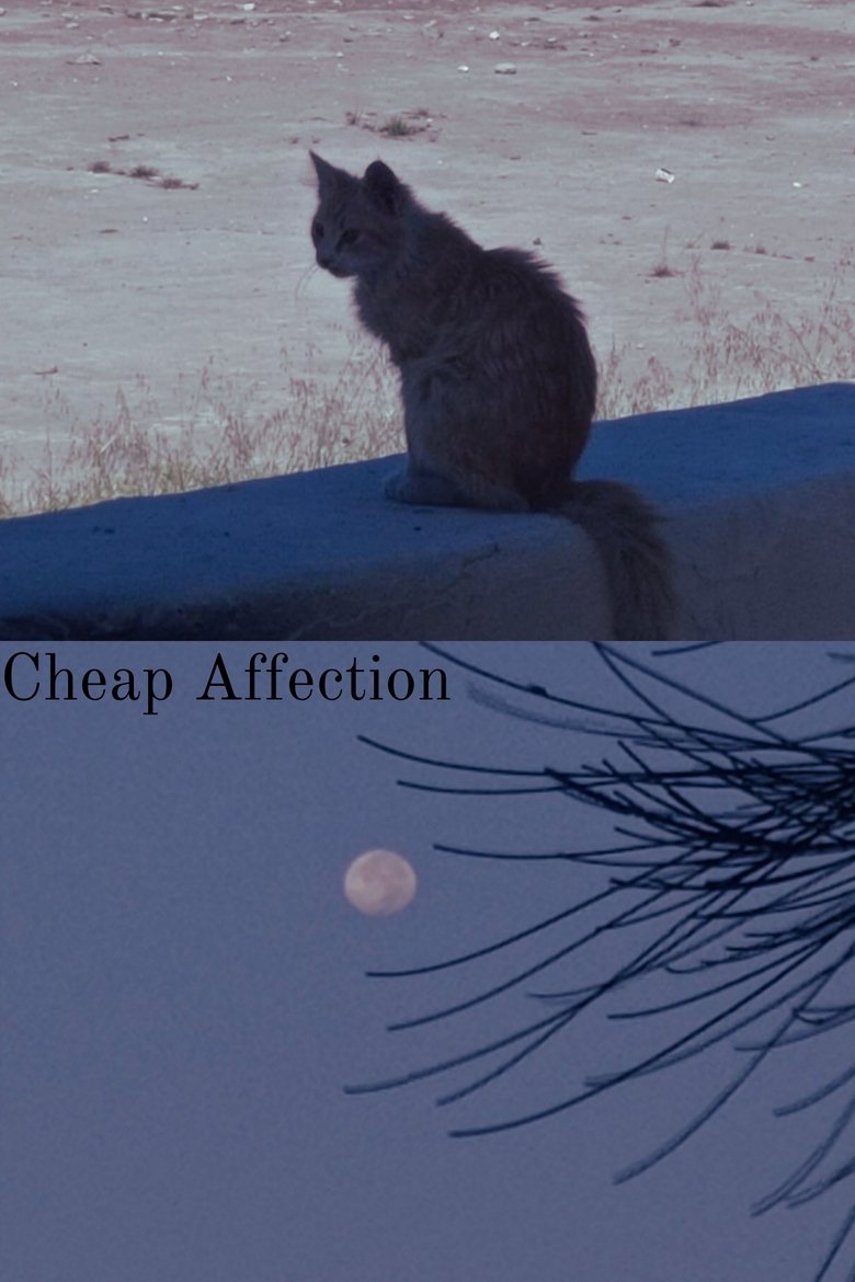 Poster of Cheap Affection