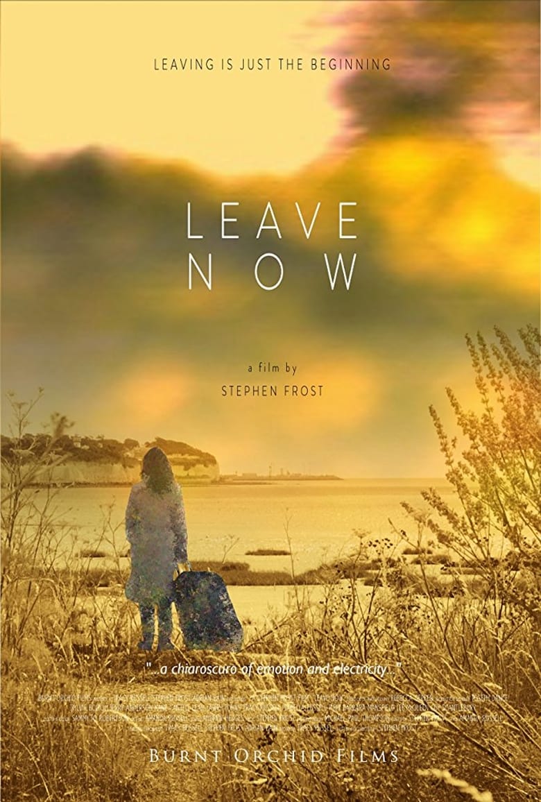 Poster of Leave Now