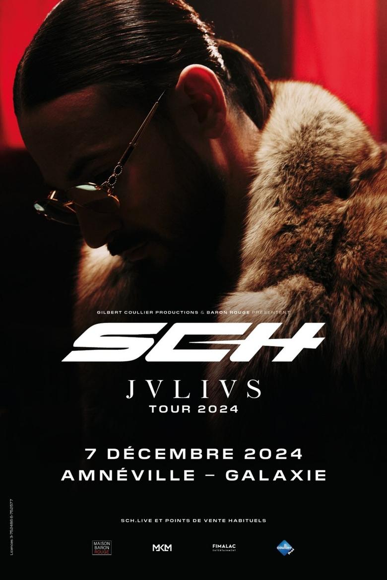 Poster of SCH - JVLIVS Tour : Ad Finem