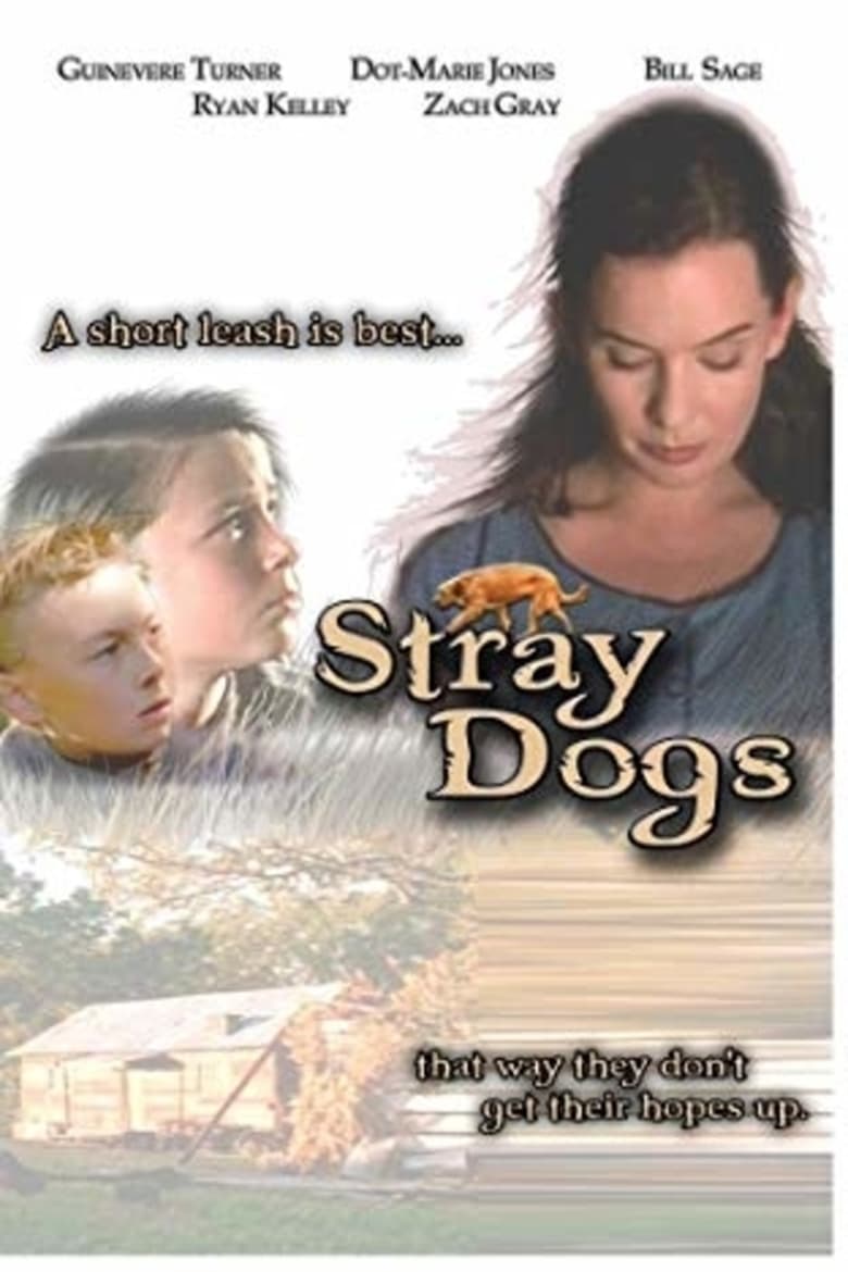 Poster of Stray Dogs