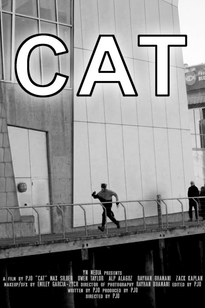 Poster of CAT