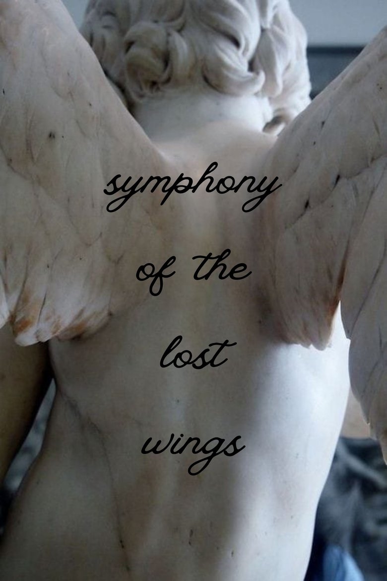 Poster of Symphony Of The Lost Wings