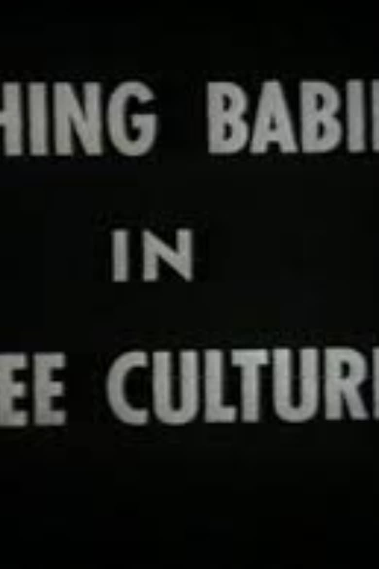 Poster of Bathing Babies In Three Cultures