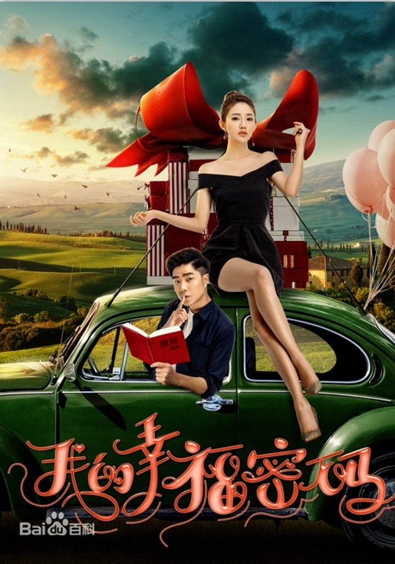 Poster of 我的幸福密码