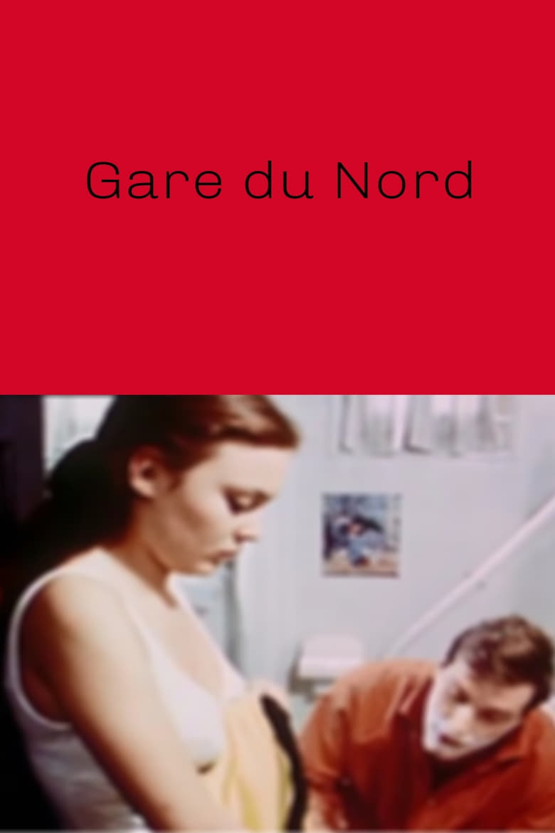 Poster of Gare du Nord