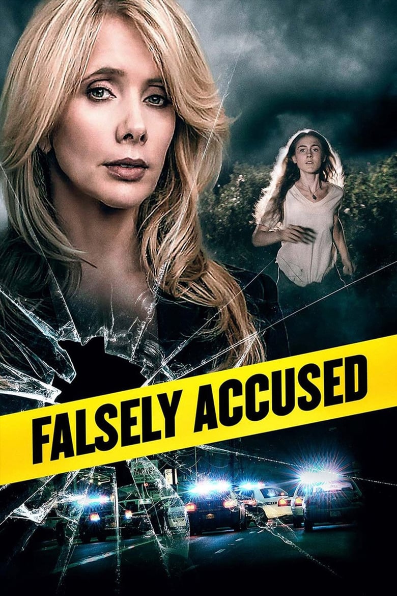 Poster of Falsely Accused