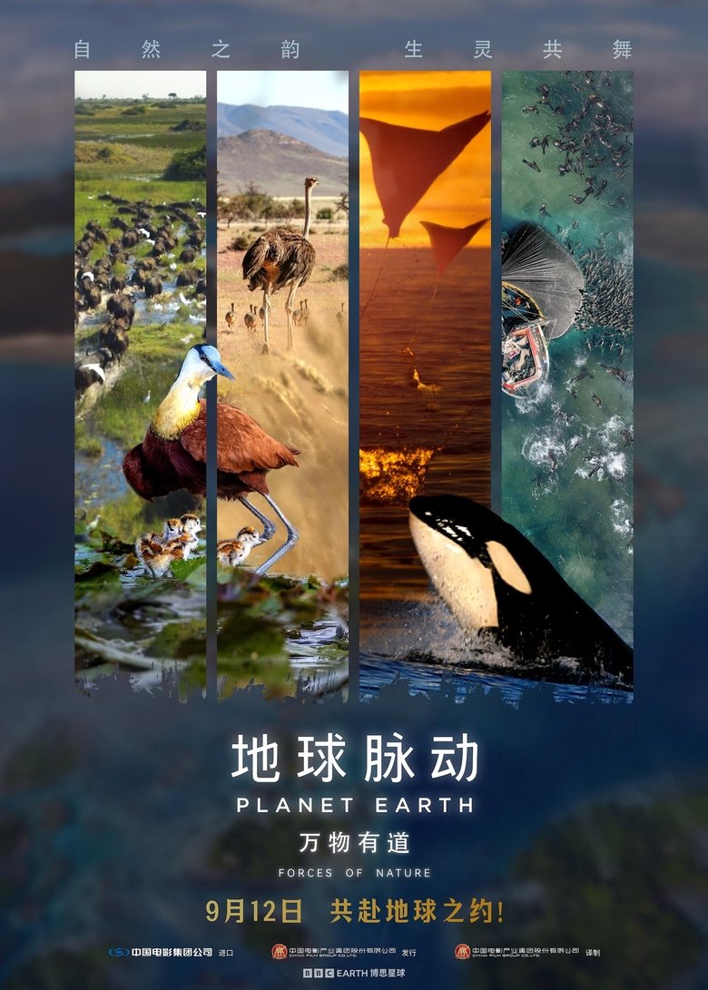 Poster of Planet Earth: Forces of Nature