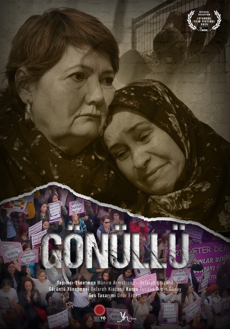 Poster of The Volunteer