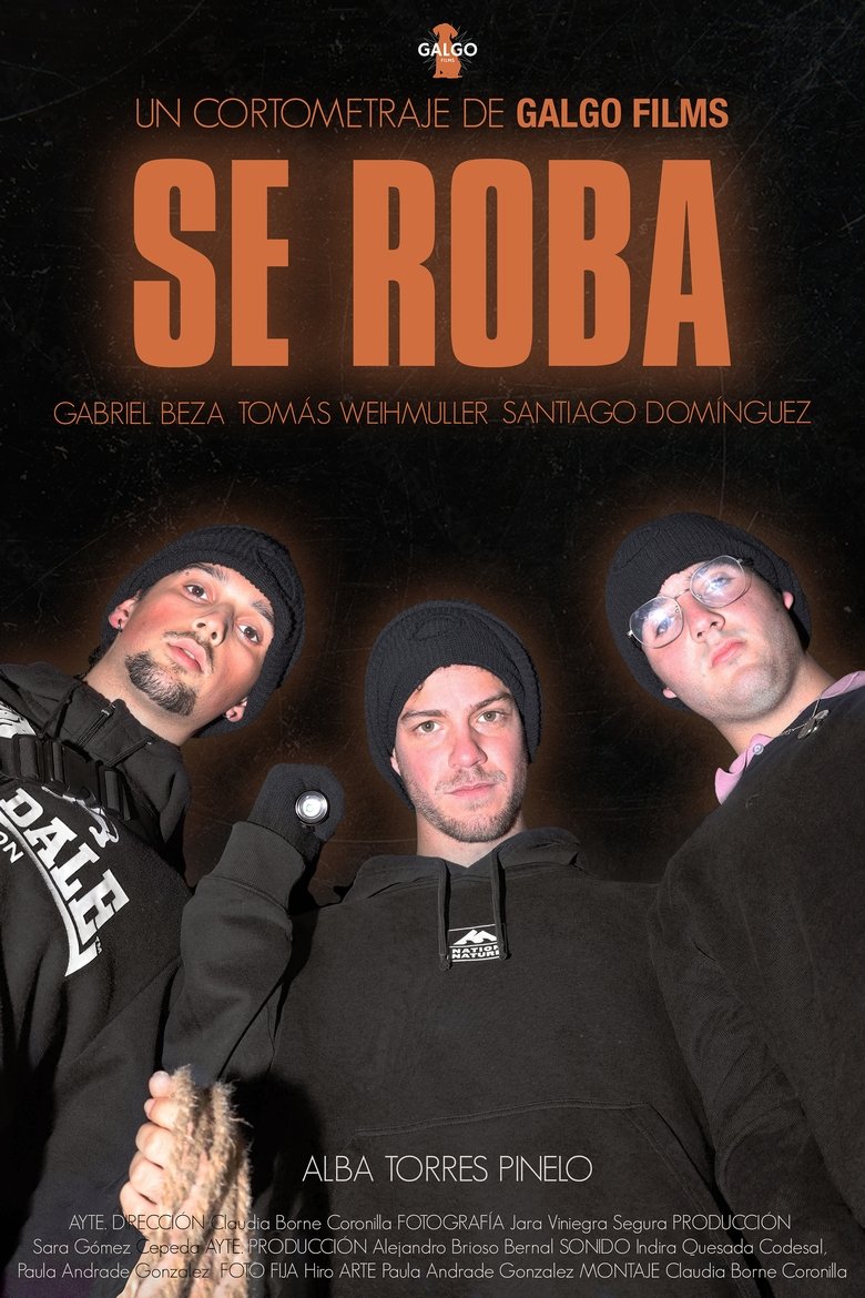 Poster of SE ROBA