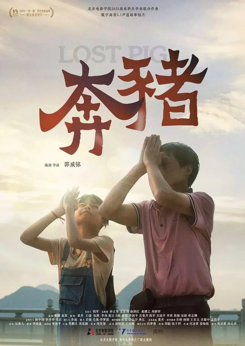 Poster of Lost Pig