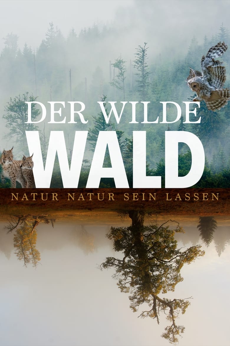 Poster of The Wild Forest