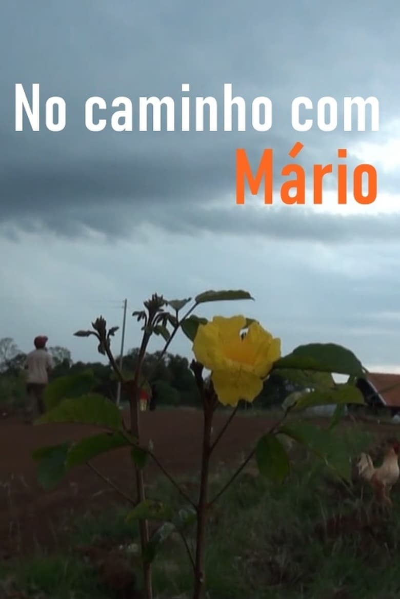 Poster of No Caminho com Mário