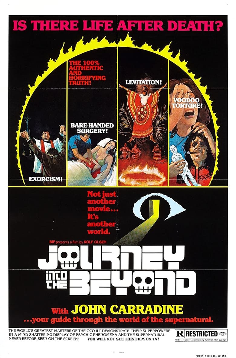 Poster of Journey Into the Beyond