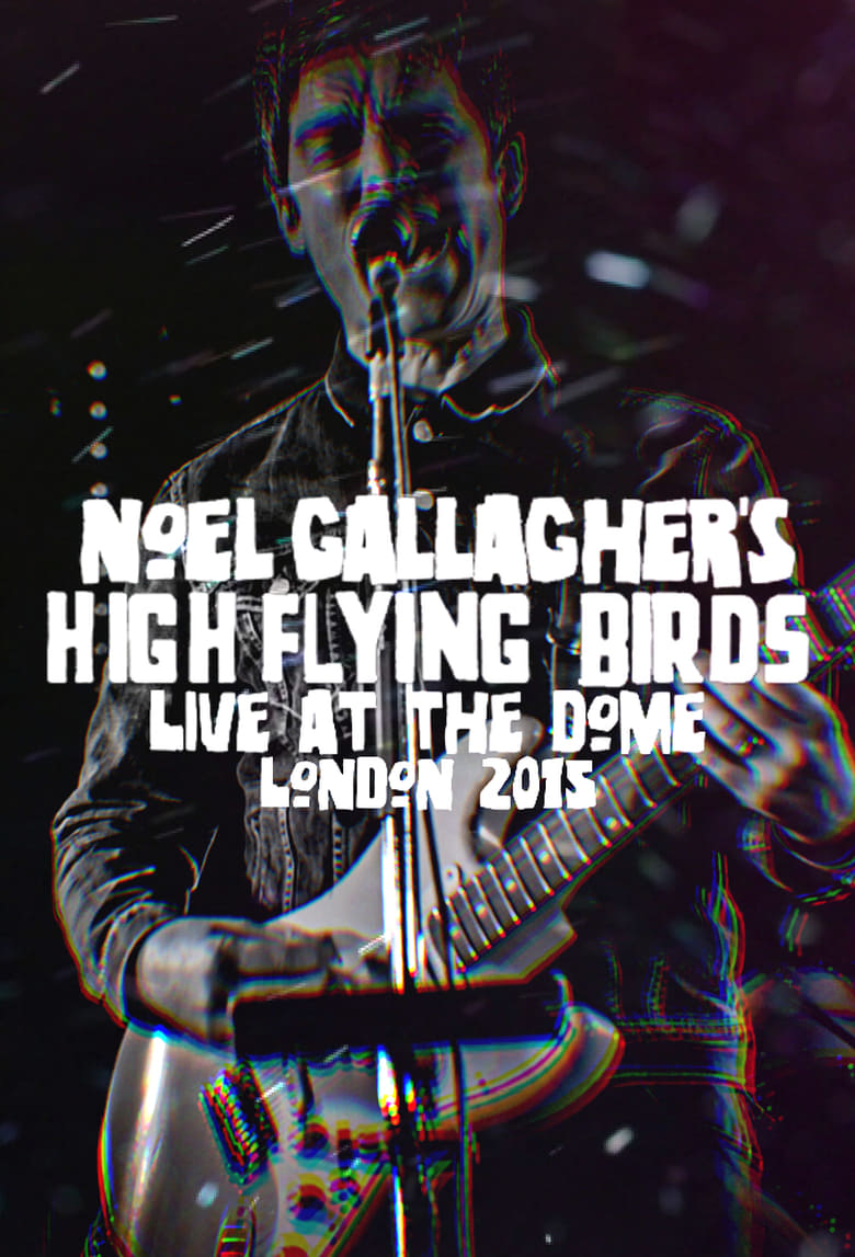 Poster of Noel Gallagher's High Flying Birds - Live at The Dome, London