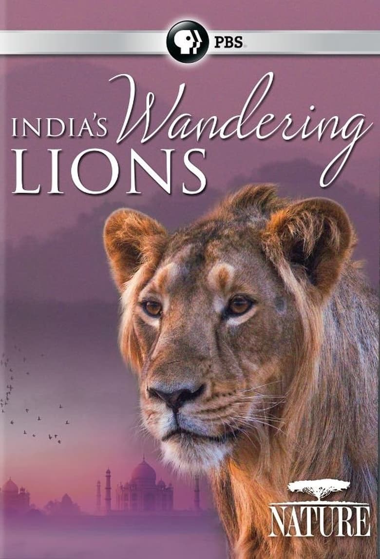 Poster of India's Wandering Lions