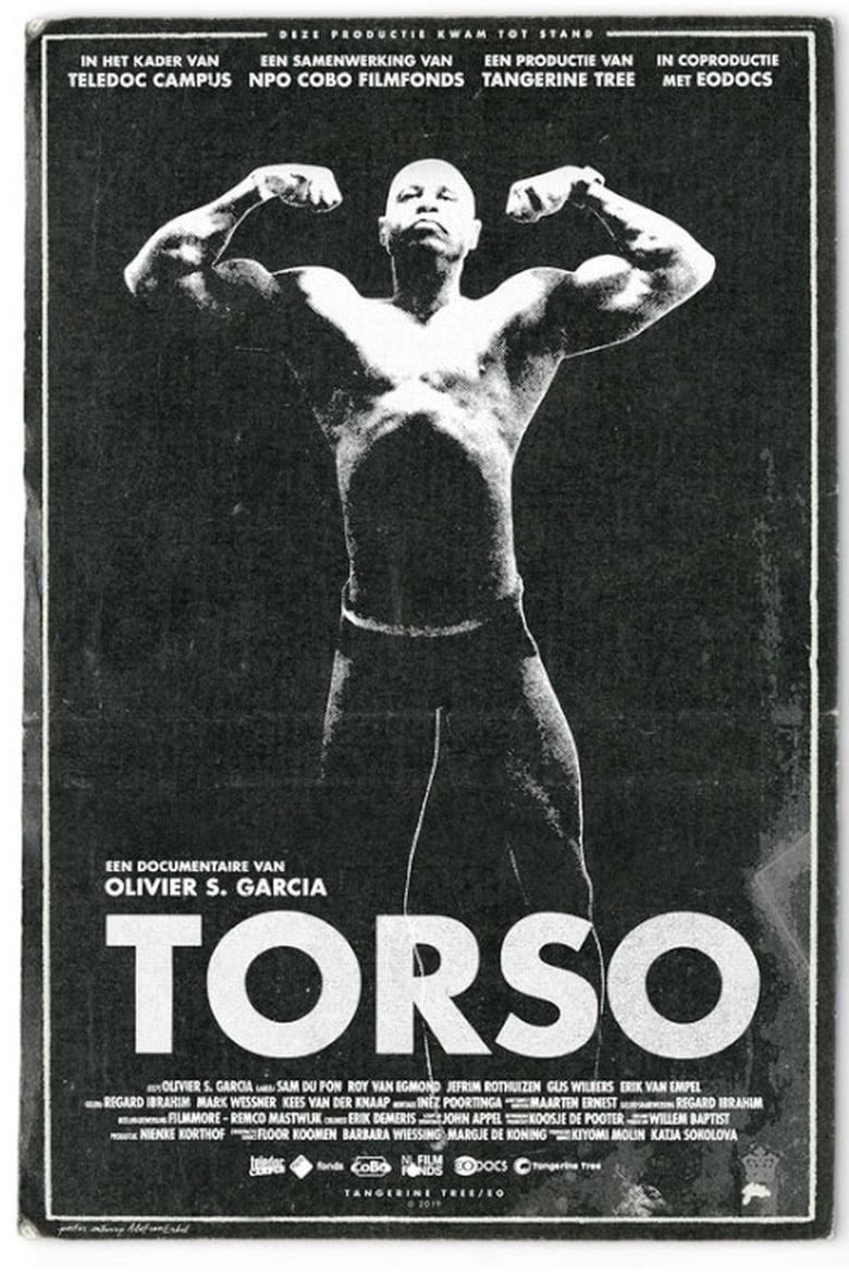 Poster of Torso