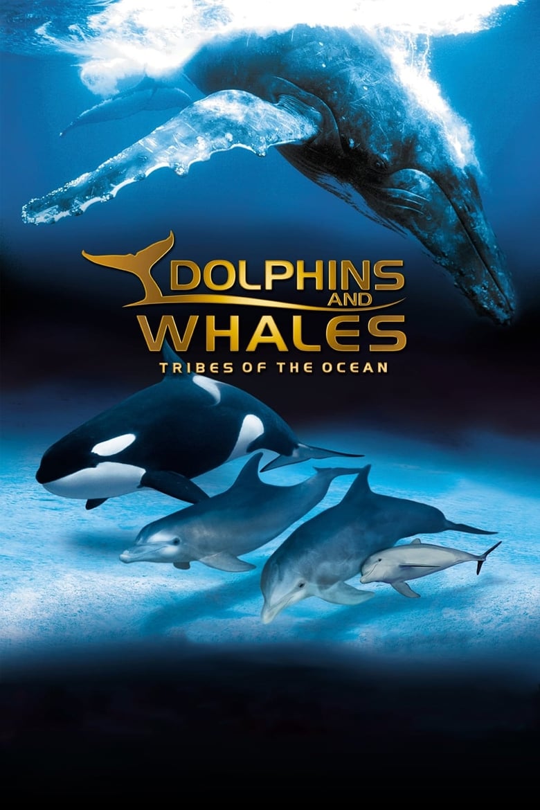 Poster of IMAX Dolphins and Whales: Tribes of the Ocean