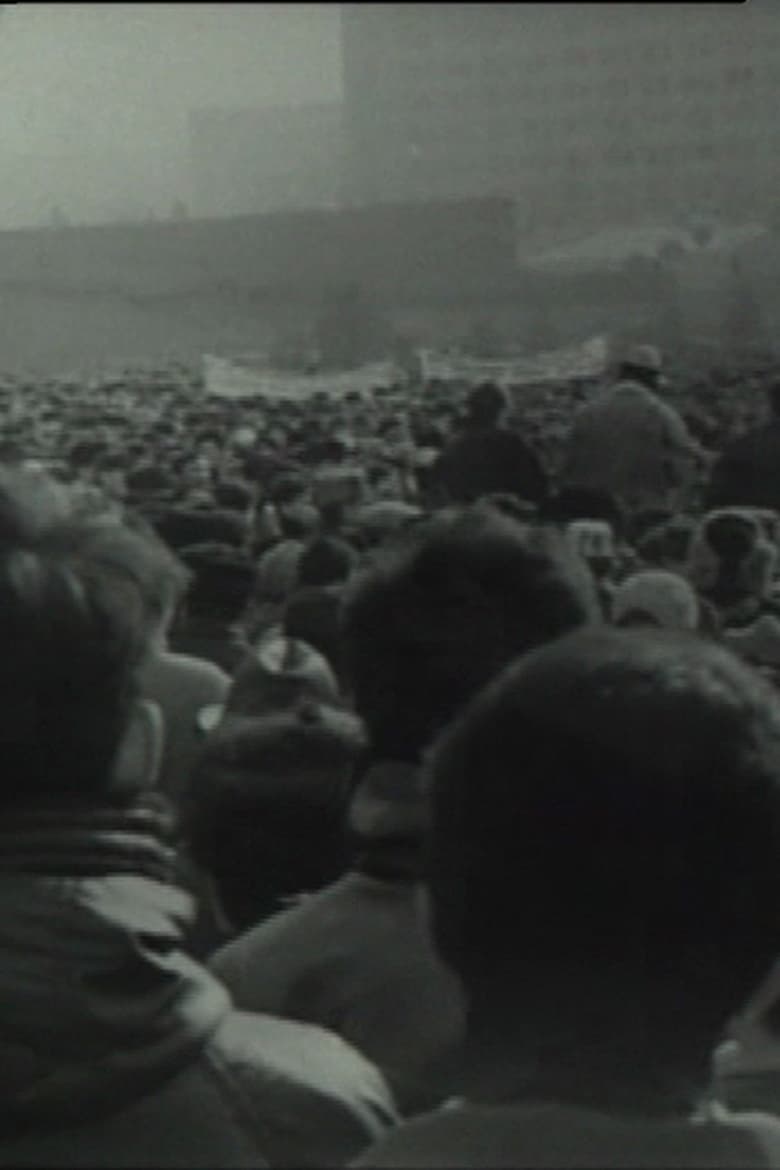 Poster of Chronicle of an Undeclared Demonstration