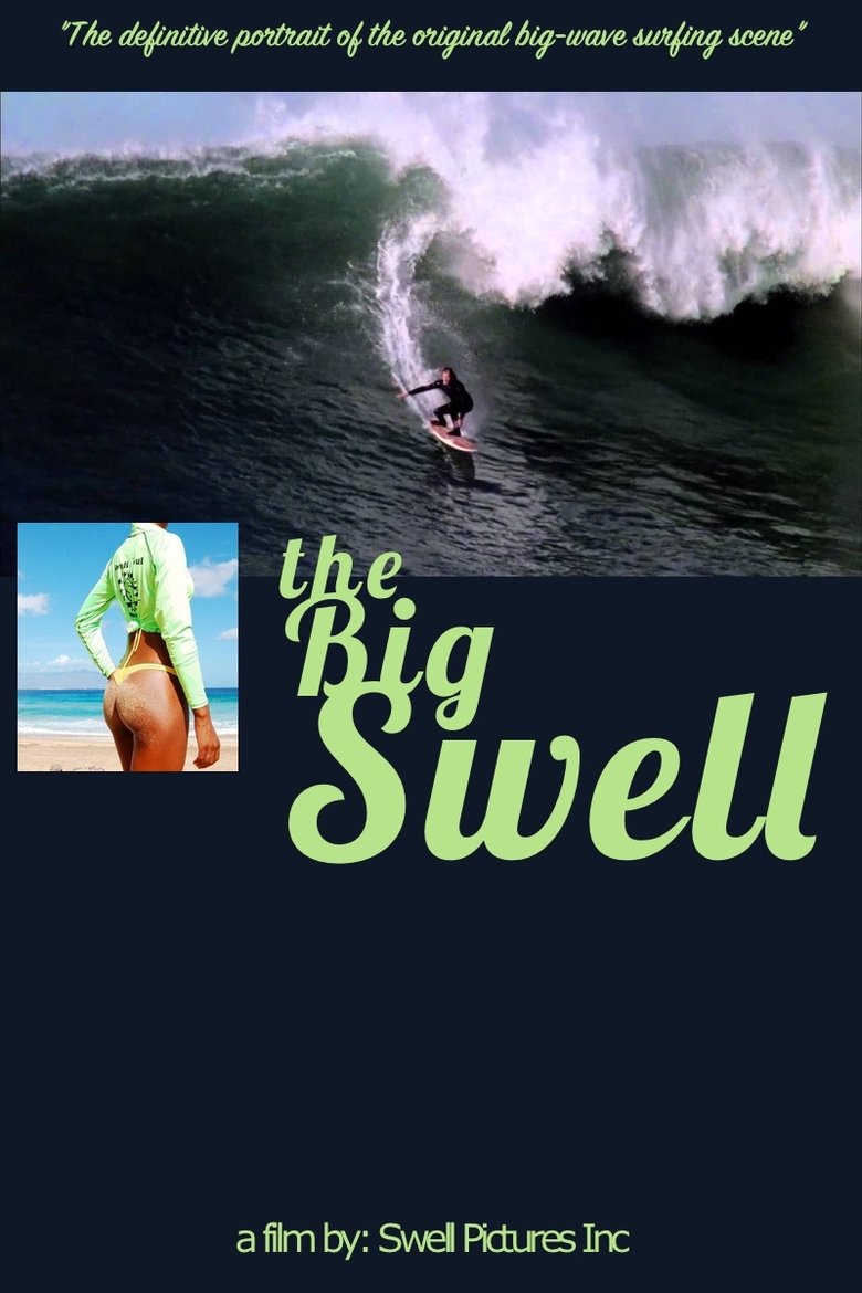 Poster of The Big Swell