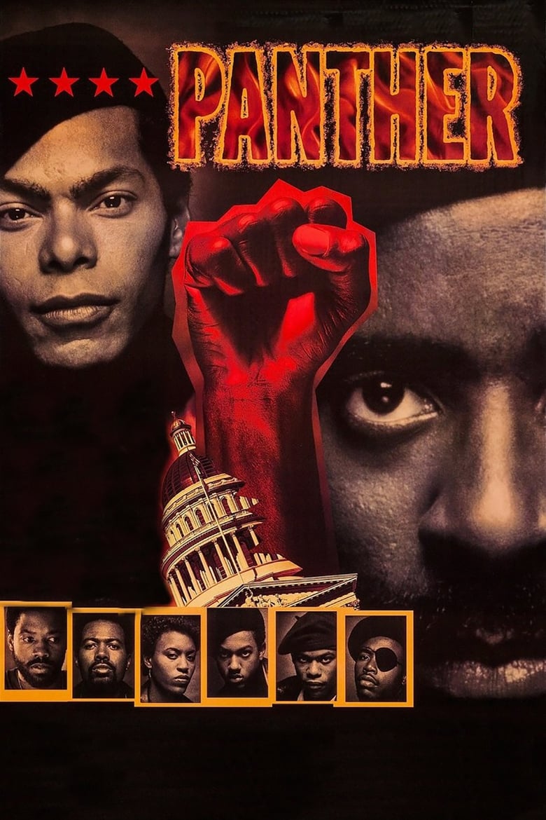 Poster of Panther