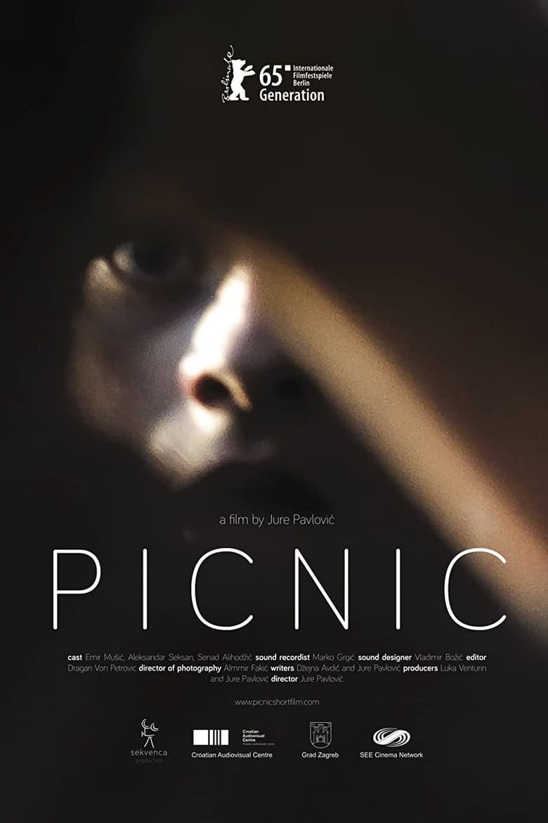 Poster of Picnic