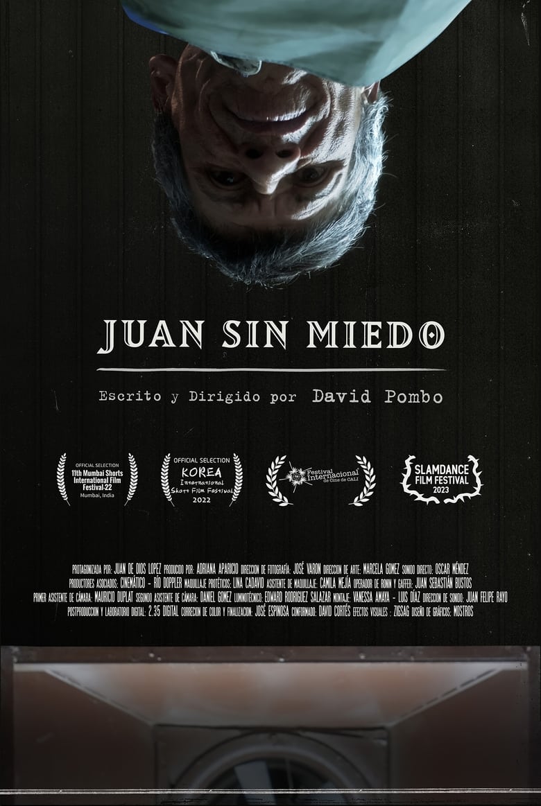 Poster of Fearless Juan