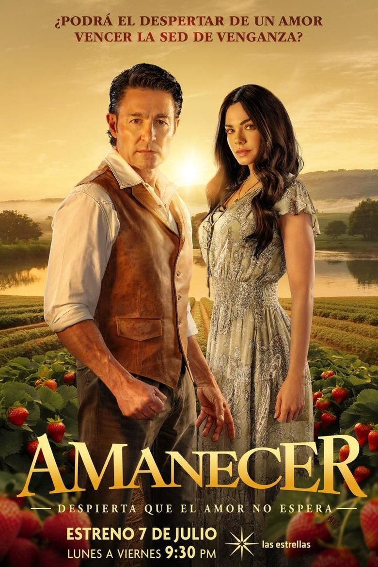 Poster of Amanecer